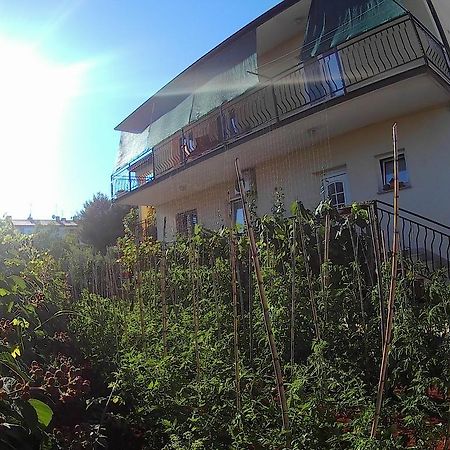 Lea Apartment Umag Exterior foto